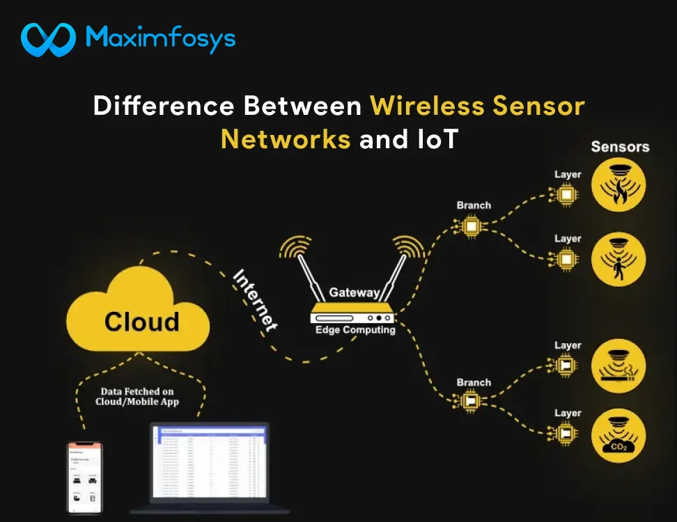 Difference Between Wireless Sensor Networks and IoT